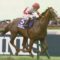 【競馬】ハーツクライ「ディープインパクト産駒牡馬古馬は雑魚すぎｗ」