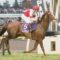 【競馬・有馬記念】しれっとスワーヴリチャードが12着なんだけど