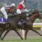 【競馬】カレンブーケドール、ジャパンカップから有馬記念へ
