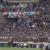【競馬・NHKマイルC】シャンパンカラー強すぎワロタｗｗｗｗｗｗｗｗｗｗｗｗｗｗｗｗｗｗｗｗｗｗｗｗ