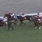【競馬・ステイヤーズS】とうとうディープ産駒に3600mの重賞勝たれアンチ涙目ｗｗｗ
