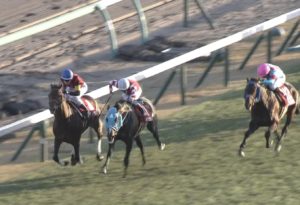 【競馬・ステイヤーズS】オジュウチョウサン見せ場作って5着ワロタｗｗｗｗｗｗｗｗｗｗ