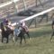 【競馬・ステイヤーズS】オジュウチョウサン見せ場作って5着ワロタｗｗｗｗｗｗｗｗｗｗ
