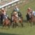 【競馬・チャレンジC】中谷の完璧ブロックでデットーリ前が壁ｗｗｗｗｗｗｗｗｗｗｗｗｗｗｗｗｗｗｗｗ