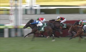 【競馬・チャレンジC】5連勝ロードマイウェイ強すぎﾜﾛﾀwwwwwwwww