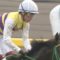 【競馬】なぜ日本人競馬ファンはデットーリが好きなのか