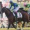 【競馬・淀短距離S】武豊完璧騎乗アイラブテイラー強いなwwwwwwwwww