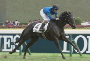【競馬】ルメールがいると馬券が固くて面白くない