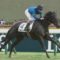 【競馬】ルメールがいると馬券が固くて面白くない