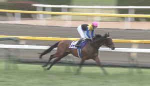 【競馬】ワグネリアン、マカヒキ、ユーキャンスマイル年内休養へ＝有馬記念回避