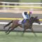 【競馬】ワグネリアン、マカヒキ、ユーキャンスマイル年内休養へ＝有馬記念回避