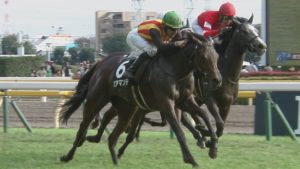 【競馬】チーム豊沢の武豊＆ルメール、東京で大暴れしてしまう