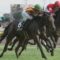 【競馬】ルメール　５戦５勝！！
