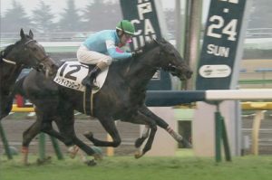【競馬】ルメールさん来年の正月休みはアメリカ旅行で金杯ウィーク不在ｗｗｗ