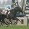 【競馬】ルメールさん来年の正月休みはアメリカ旅行で金杯ウィーク不在ｗｗｗ