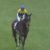 【競馬】騎乗停止明けの岩田康誠・・復帰初日の想定がヤバすぎるwww