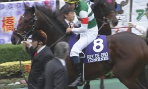 【競馬】レイデオロの単勝に最後500万ぶち込まれててワロタwww