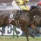 【競馬】岩田息子が今週見事に53kg以上の馬しか乗らない件w