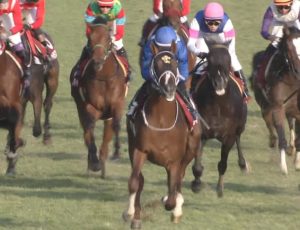 【競馬・京王杯2歳S】結局ルメールｗｗｗｗｗｗｗｗｗｗｗｗｗｗｗｗｗｗｗｗｗ