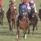 【競馬】外人来まくってから確実に競馬はつまらなくなったよな