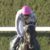 【競馬】マイラプソディ怒りの毎日杯出走ｷﾀ━━━━(ﾟ∀ﾟ)━━━━!!