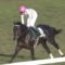 【競馬・皐月賞】マイラプソディって本当に切っていいのか？