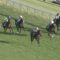 【競馬・ホープフルS】コントレイルの調教で見えたら駄目な物が見えたんだが