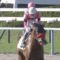 【競馬】武豊「パドックを本気で見てる奴はアホ。わかるわけない」