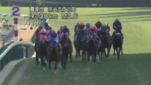 【競馬・有馬記念】アドマイヤモナーク＝スカーレットカラーに成るよ