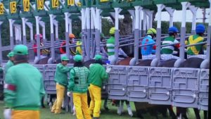【競馬・有馬記念】動画あり・・有馬記念の実況どの局もひどすぎワロタｗｗｗｗｗｗｗｗｗｗｗ【グリチャ、フジ、NHK】