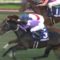 【競馬】99年有馬記念スペシャルウィークで負けてるのにウイニングランした武豊【グラスワンダーと2cm差】