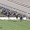 【競馬】[画像] 超良血ポルトラーノ、障害落馬