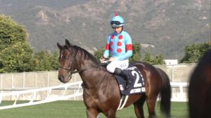 【競馬・有馬記念】レーンのオーストラリアでの成績ショボすぎワロタwwwwww