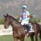 【競馬・有馬記念】レーンのオーストラリアでの成績ショボすぎワロタwwwwww
