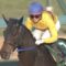 【競馬】藤田菜七子、ダート1200テン3Fを32秒8で逆噴射ｗｗｗｗｗｗｗｗｗｗｗｗｗｗｗ