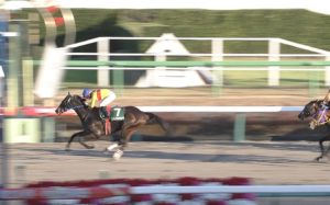 【競馬・カペラS】コパノキッキング藤田菜七子JRA重賞初制覇！！！！！！
