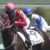 【競馬】コントレイル見てまたまたまた早熟ディープ詐欺に騙される奴w