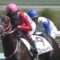 【競馬・皐月賞】コントレイル前田公喜オーナー「史上初無敗でG1を7勝以上目指す馬。アクシデント以外では負けない」