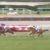 【競馬】障害三強激突！オジュウチョウサン、トラスト、シングンマイケル、阪神SJ