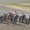 【競馬】チュウワウィザードのネット競馬の掲示板が馬の話題じゃなく人類の英雄福永一色な件