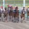 【競馬】宝塚記念 ジャパンとブルームが参戦も