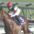 【競馬・2020年度JRA賞】最優秀ダート馬でクリソベリルに投票した85人は投票資格を剥奪しろよ