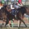 【競馬】フェブラリーS、レーティング足らずG2格下げ待ったなし