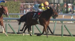 【競馬】デットーリ終了