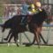【競馬】デットーリ終了