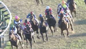 【競馬・ホープフルS】悲報・・ブラックホール