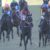 【競馬】2020年牡馬クラシック番付、完成する 【競馬】2020年牡馬クラシック番付、完成する