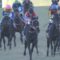 【競馬】今年の３歳牡馬とはなんだったのか？