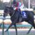 【競馬】3冠馬コントレイルと激突！！　Ｇ1・3連勝中のグランアレグリアが大阪杯に参戦決定！