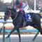 【競馬】3冠馬コントレイルと激突！！　Ｇ1・3連勝中のグランアレグリアが大阪杯に参戦決定！